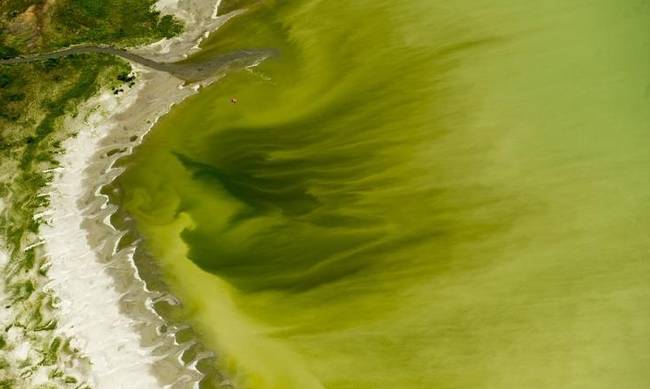 Προσοχή: Αυτή η πράσινη... λίμνη σκοτώνει (photo)
