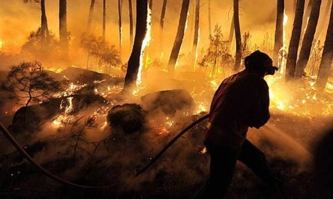 Ενισχύθηκαν οι δασικές πυρκαγιές στη βόρεια Πορτογαλία