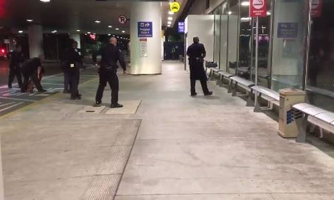 Ένας Ζορό «έσπειρε τον πανικό» στο αεροδρόμιο του Λός Άντζελεζ (βίντεο)