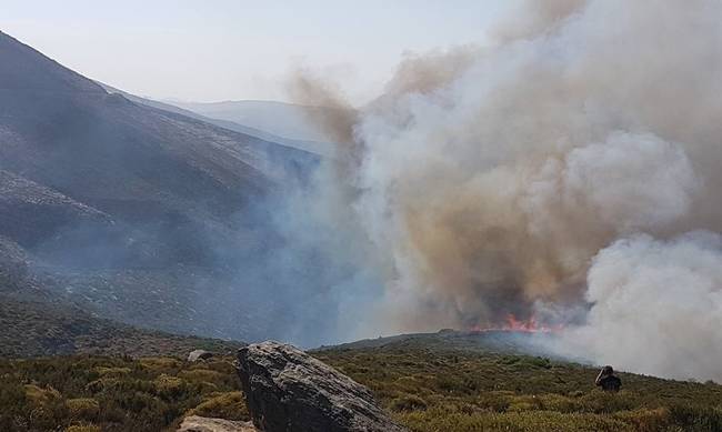 Νέα πυρκαγιά εκδηλώθηκε στην Κάρυστο (φωτογραφίες)
