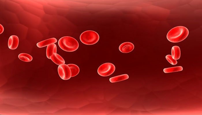 Δημιουργήθηκαν συνθετικά αιμοφόρα αγγεία που αναπτύσσονται με την ηλικία
