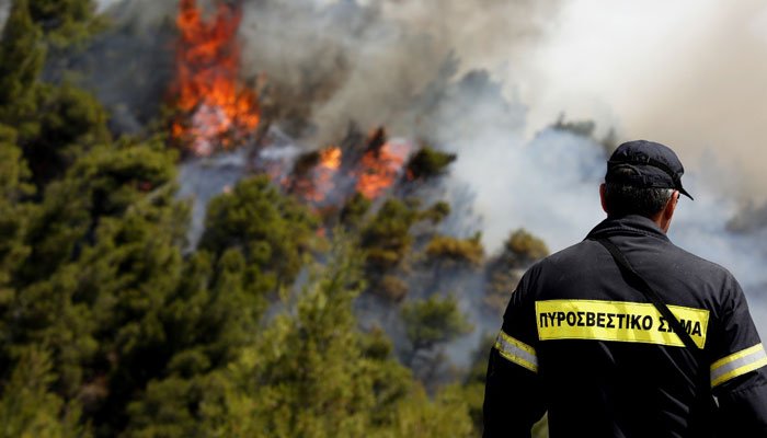 Πυρκαγιά σε δασική έκταση στην Αλεξανδρούπολη