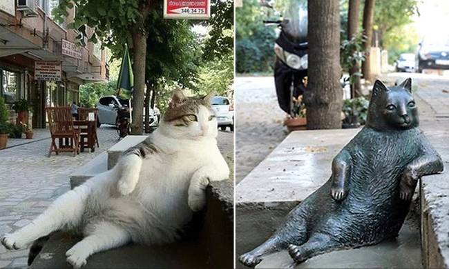 Viral: Η πιο διάσημη γάτα της Κωνσταντινούπολης τιμήθηκε με το δικό της άγαλμα (Pics)