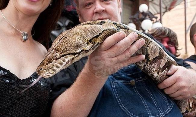 Ανατριχιαστικό: Αυτό είναι το μεγαλύτερο φίδι στον κόσμο - Δεν φαντάζεστε πόσα άτομα χρειάζονται για να το κρατήσουν!