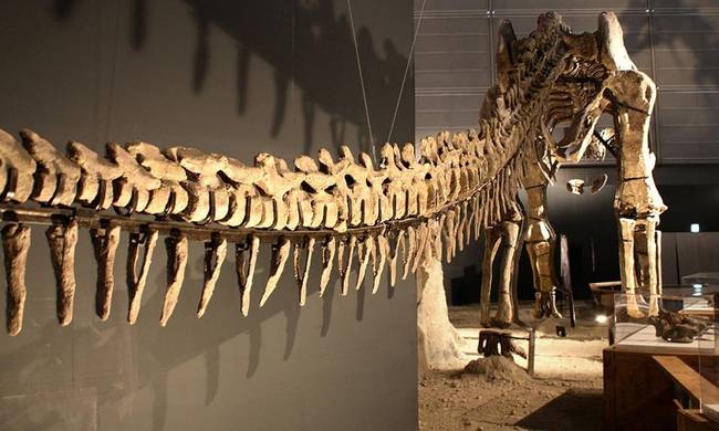 ΦΩΤΟ: Είναι αυτός ο μεγαλύτερος δεινόσαυρος που περπάτησε στη Γη;