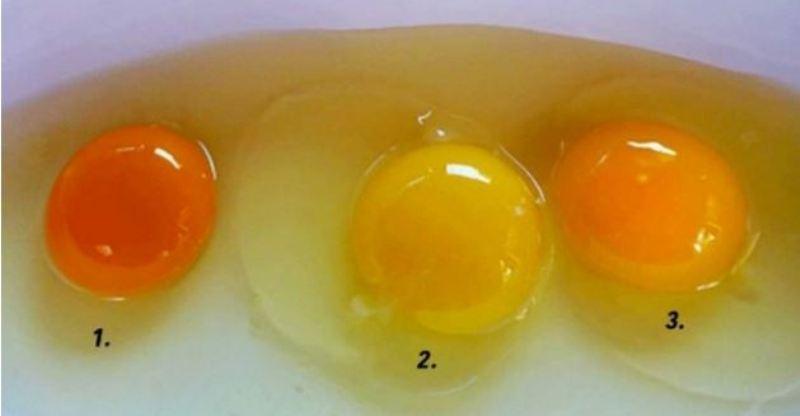 Κουίζ υγείας! Μπορείτε να μαντέψετε ποιος κρόκος αυγού είναι ο πιο υγιεινός;