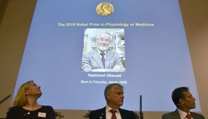 Στον Ιάπωνα Γιοσινόρι Οσούμι το Νόμπελ Ιατρικής