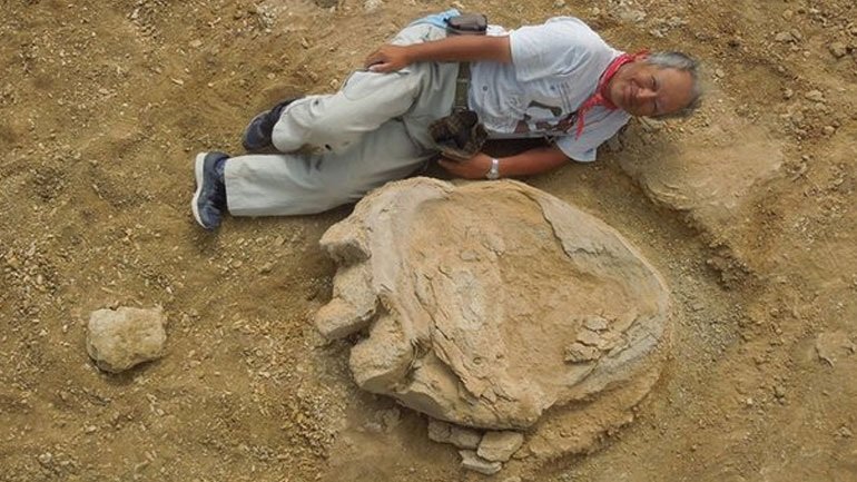 Ανακάλυψαν απολίθωμα πατημασιάς γιγάντιου δεινοσαύρου