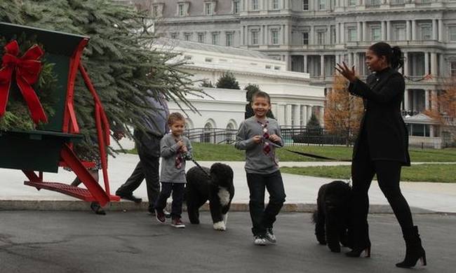 Χριστούγεννα 2016: Η Μισέλ Ομπάμα παρέλαβε για τελευταία φορά το δέντρο! (εικόνες&video)