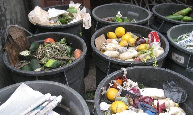 Συγκλονιστικό: Περίπου 88 εκατ. τόνοι τροφίμων καταλήγουν κάθε χρόνο στα σκουπίδια