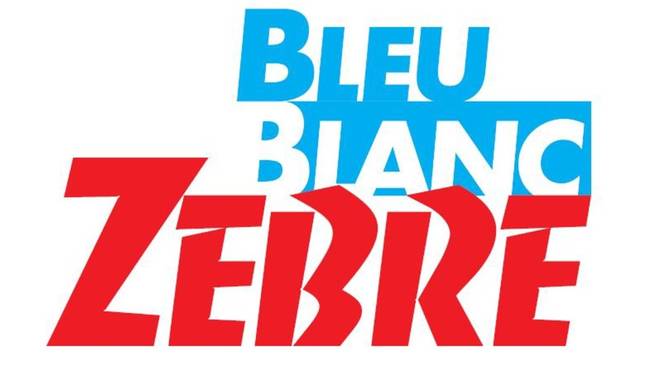 Ο συγγραφέας Αλεξάντρ Ζαρντέν υποψήφιος για τις προεδρικές εκλογές στη Γαλλία