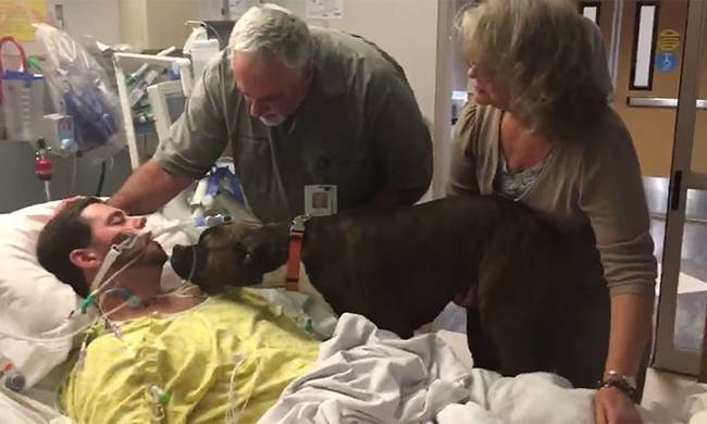 Η συγκινητική στιγμή που μια σκυλίτσα αποχαιρετά το αφεντικό της που πεθαίνει (εικόνες&video)