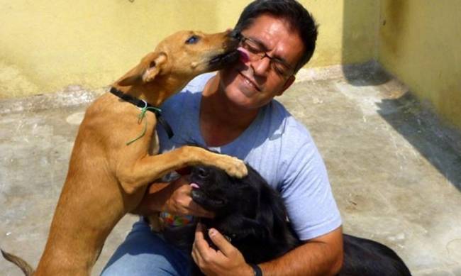 Ο Ινδός που έχει υιοθετήσει... 735 σκυλιά! (εικόνες)