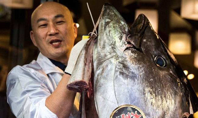 Ιάπωνας εστιάτορας αγόρασε ψάρι έναντι… 600.000 ευρώ (video)