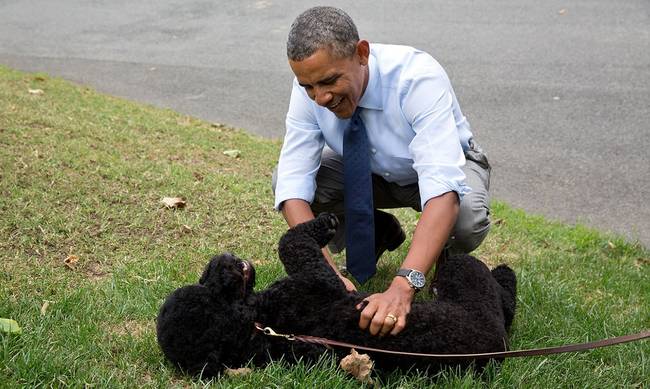 ΗΠΑ: Η σκυλίτσα των Ομπάμα δάγκωσε 18χρονη που θέλησε να την χαϊδέψει στο Λευκό Οίκο (pic)