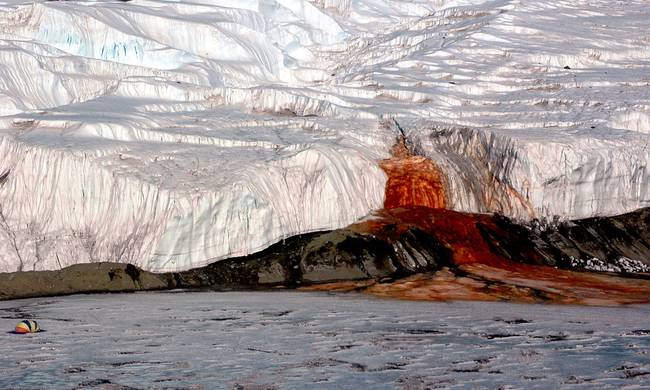 Οι έρευνες μίλησαν: Τι είναι τελικά το «ματωμένο ποτάμι» της Ανταρκτικής (video)