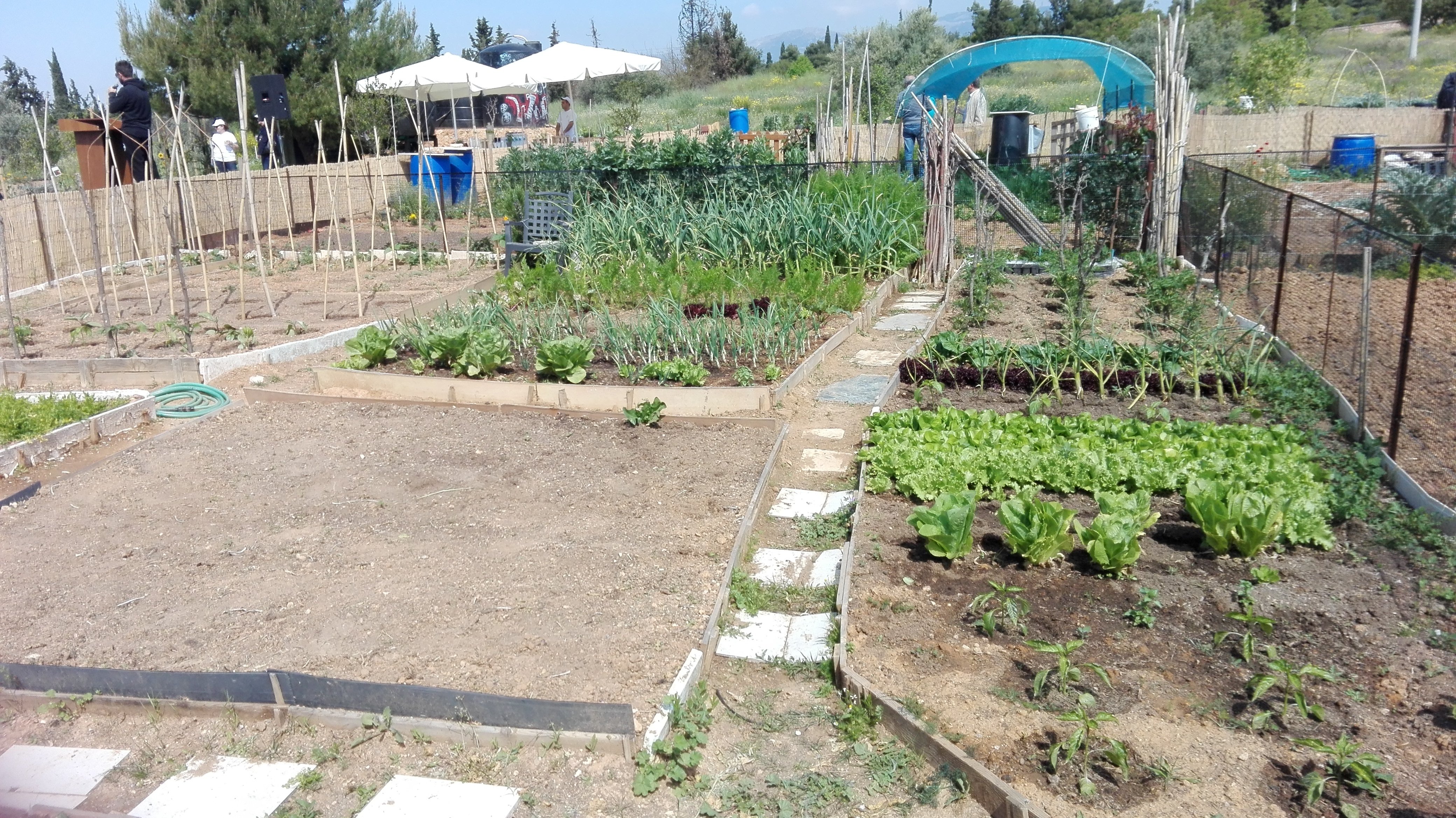 Μαρούσι: Στους δημότες ο πρότυπος δημοτικός λαχανόκηπος αειφόρου καλλιέργειας (pic & vid)