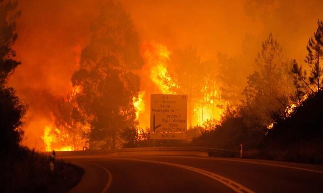 Πορτογαλία: Δεκάδες άνθρωποι κάηκαν ζωντανοί μέσα στα αυτοκίνητα τους (Pics)