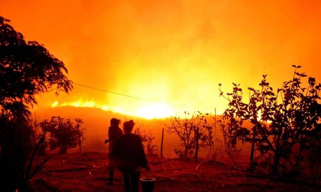 Πορτογαλία: Συνεχίζουν να μαίνονται οι πυρκαγιές - Αυξάνεται συνεχώς ο αριθμός των νεκρών