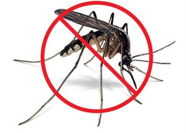 Διώξτε τα κουνούπια