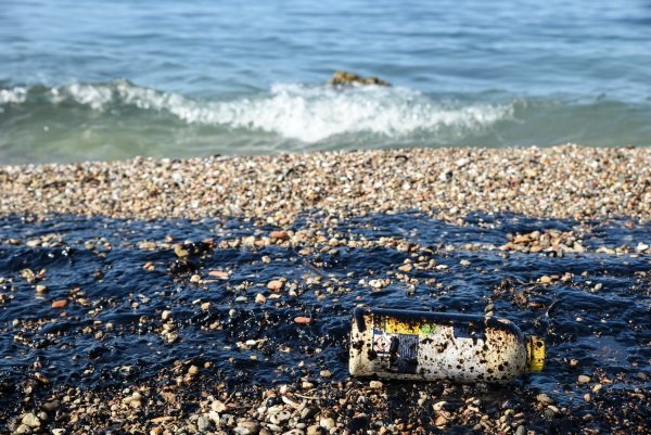 Εικόνες θλίψης στις παραλίες της Αττικής