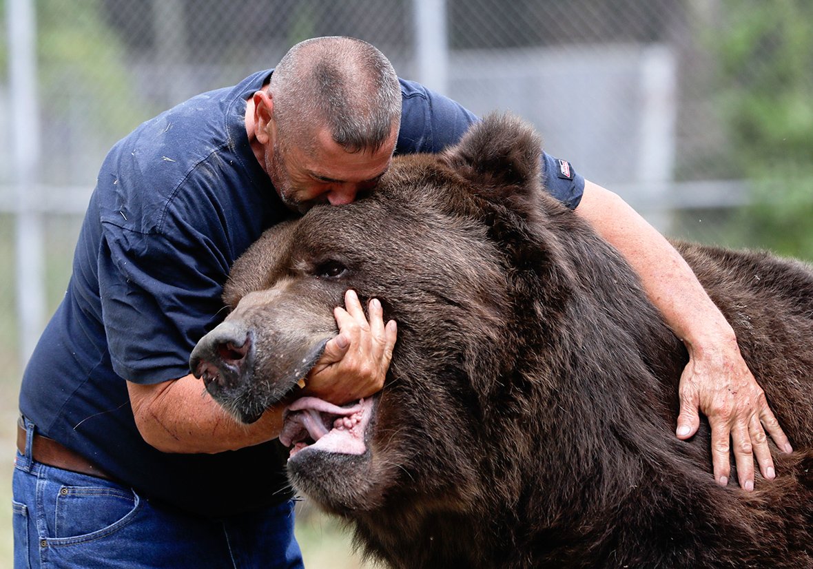 Απίστευτο βίντεο! Δείτε τη σχέση στοργής ανθρώπου με αρκούδα 750 κιλών
