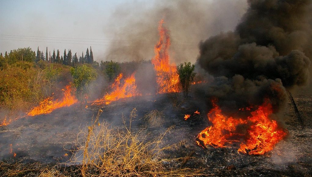 Πυρκαγιές σε Αυλώνα, Κορινθία, Ηλεία και Κρήτη. Δύσκολη η μάχη με τις φλόγες λόγω των ανέμων