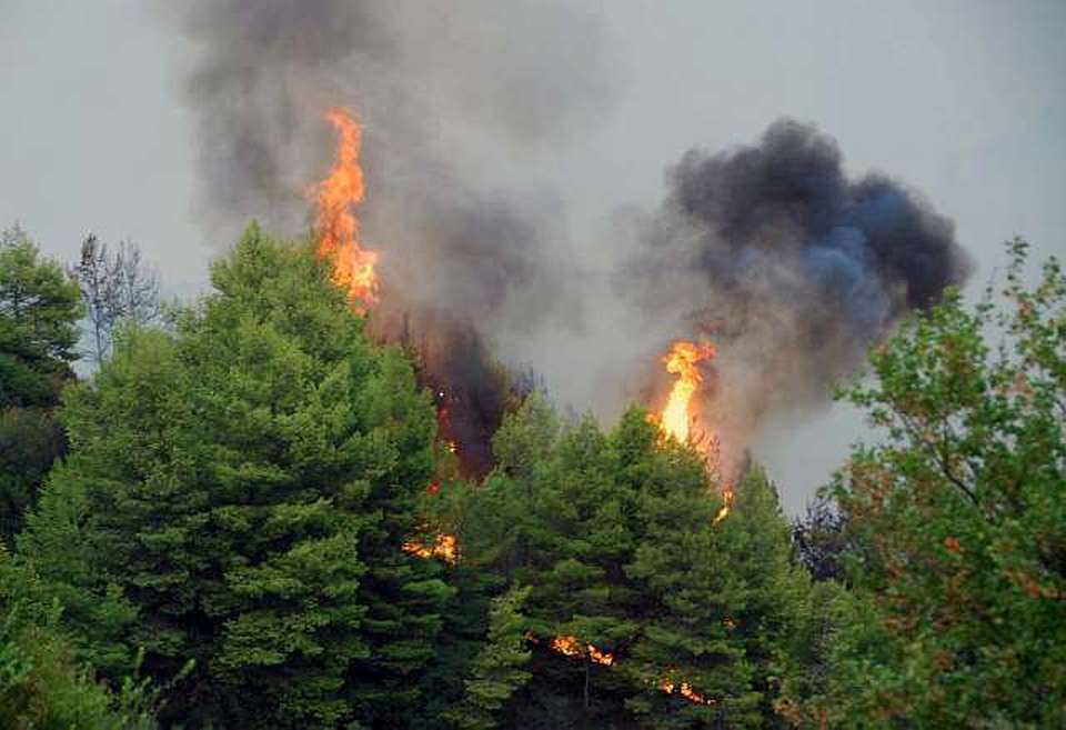 Πυρκαγιά μαίνεται στο κρατικό δάσος της Πάφου