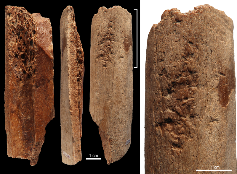 Κίνα: Ανακάλυψαν εργαλεία, από κόκαλα και κέρατα, 115.000 χρόνων!