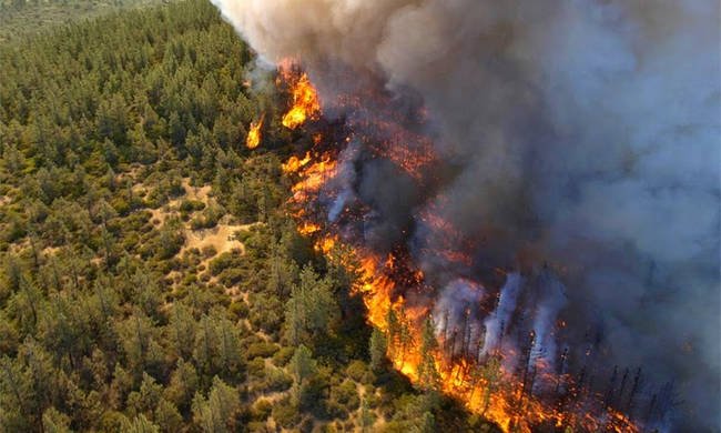 Πυρκαγιά σε δασική έκταση στην περιοχή Βατήσι Καρύστου