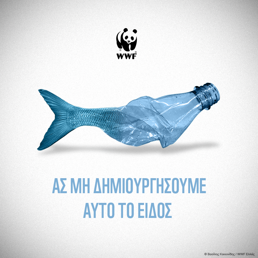 WWF : Η Μεσόγειος εκπέμπει SOS, καθώς κινδυνεύει να μετατραπεί σε μια «πλαστική θάλασσα»