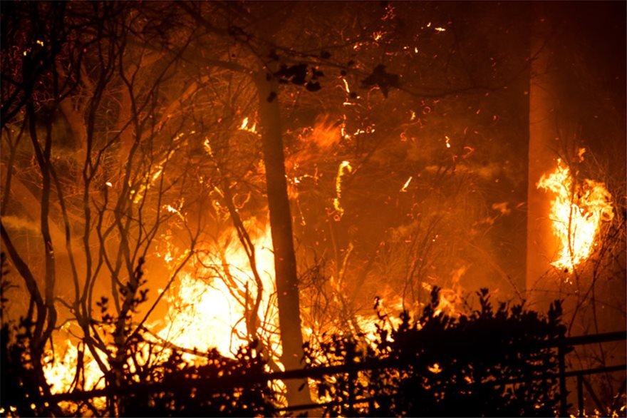 Τραγωδία με τουλάχιστον 24 νεκρούς από τις πυρκαγιές