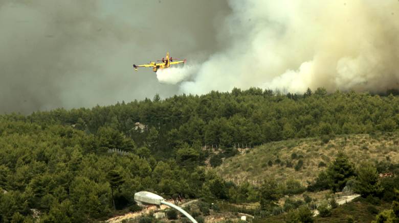 Κοινή ανακοίνωση περιβαλλοντικών οργανώσεων για τις πυρκαγιές στην Αττική
