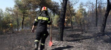 Θεσσαλονίκη: Προσήχθη ύποπτος -Επιχείρησε να βάλει τρεις φορές φωτιά στο Σέιχ Σου