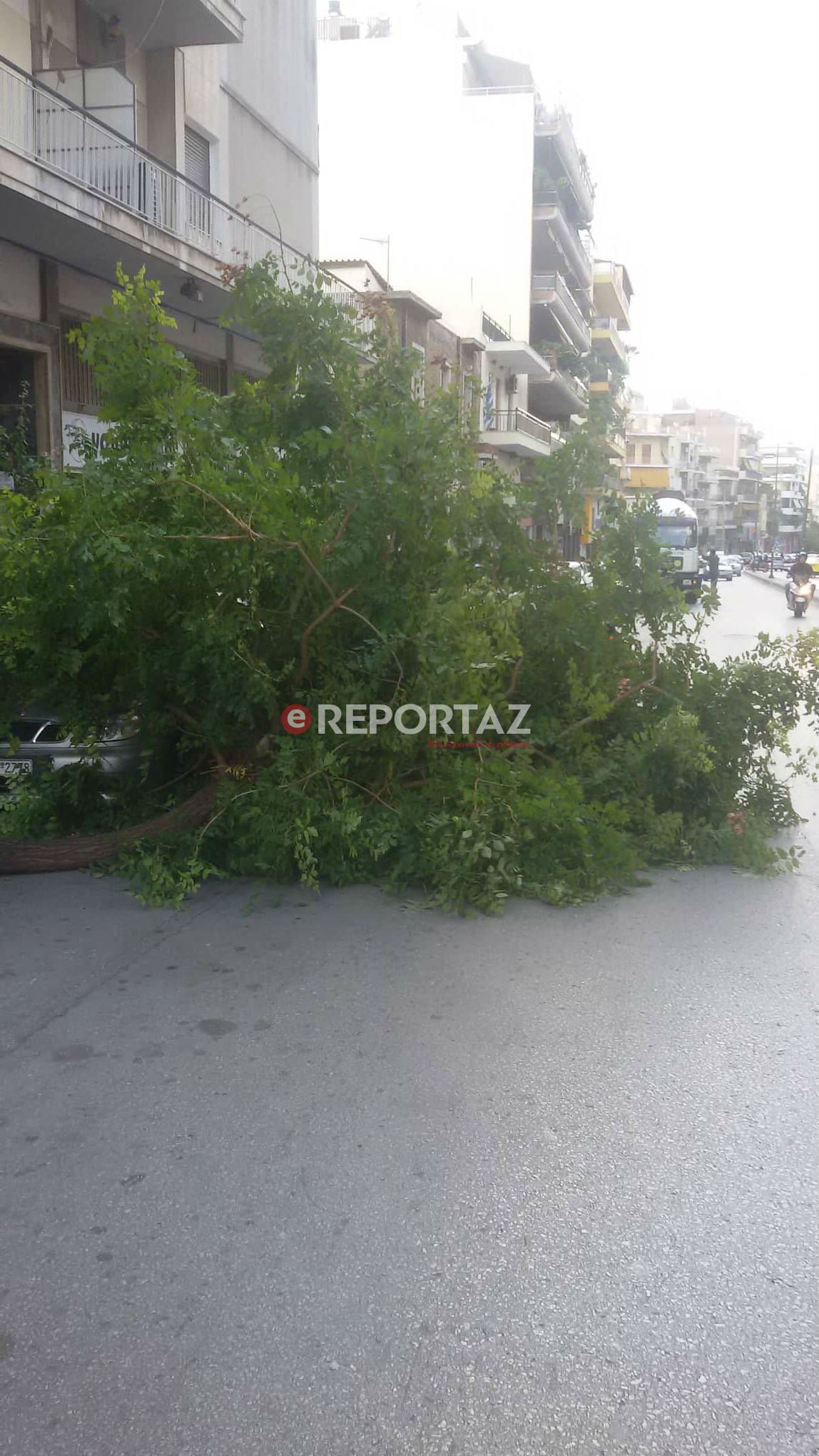 ΦΩΤΟ: Από θαύμα γλύτωσαν οδηγοί! Δέντρο έσπασε στα δύο στα Πατήσια