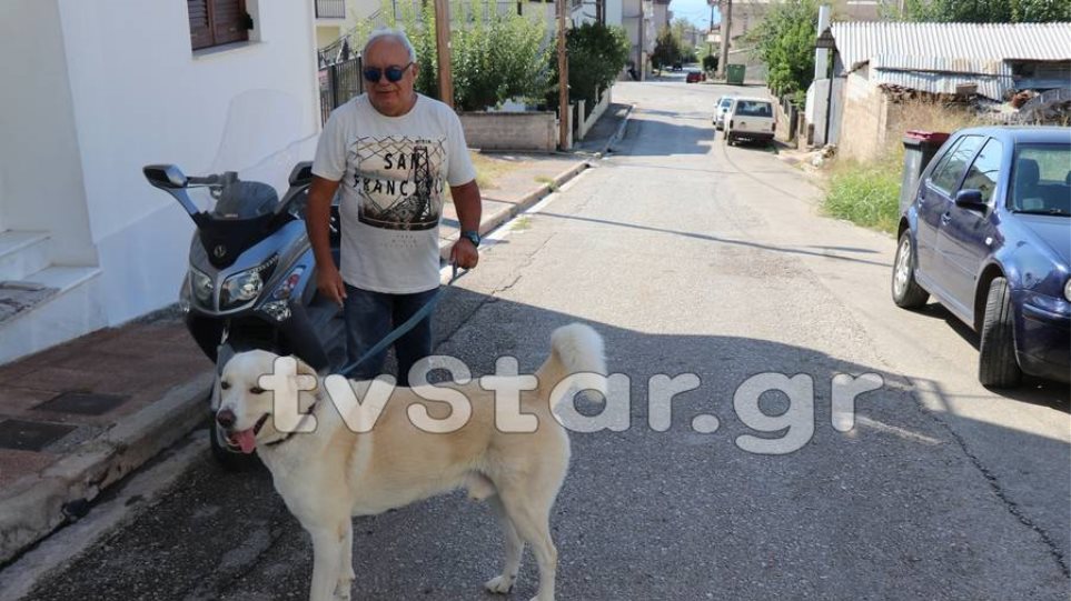 «Έφαγε» πρόστιμο 500 ευρώ επειδή ο σκύλος του... γαβγίζει
