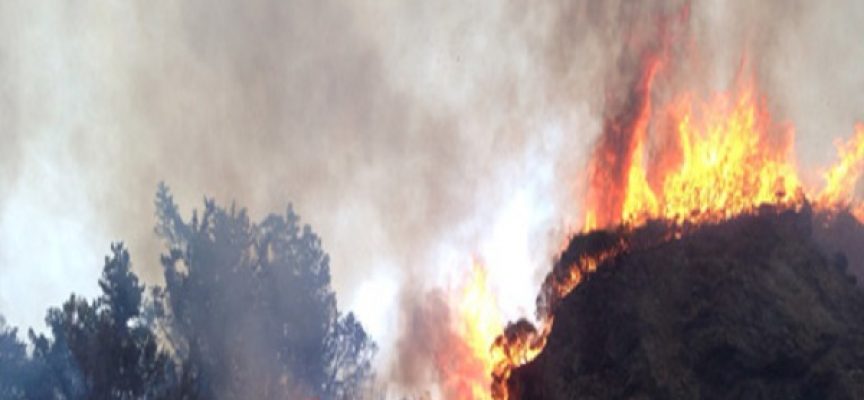 Σάμος :  Μάχη με τη φωτιά δίνουν οι πυροσβέστες