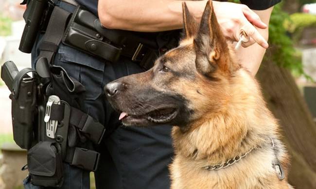(photo) Απίστευτο περιστατικό: Αστυνομικός της ΔΙΑΣ πυροβόλησε σκύλο γιατί του… γάβγισε