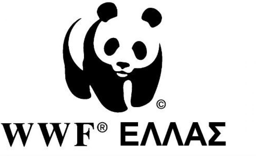 Οι προτάσεις της WWF Ελλάς για την επόμενη ημέρα μετά τις πυρκαγιές