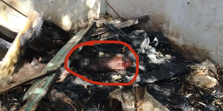 Κρήτη: Άγνωστοι έκαψαν ζωντανό μέσα στο σπιτάκι του ένα σκύλο