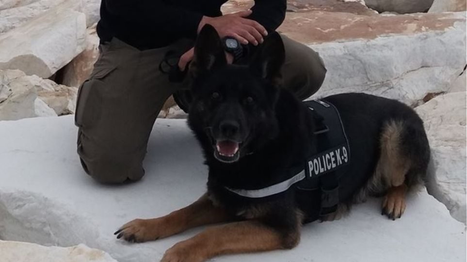 ΕΛΑΣ: Το συγκινητικό αντίο στον αστυνομικό σκύλο «Τζάκι»