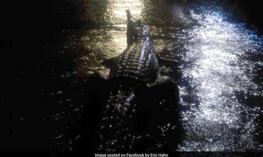 Απίστευτο! Κροκόδειλοι και φίδια στους δρόμους της Αυστραλίας μετά από πλημμύρες