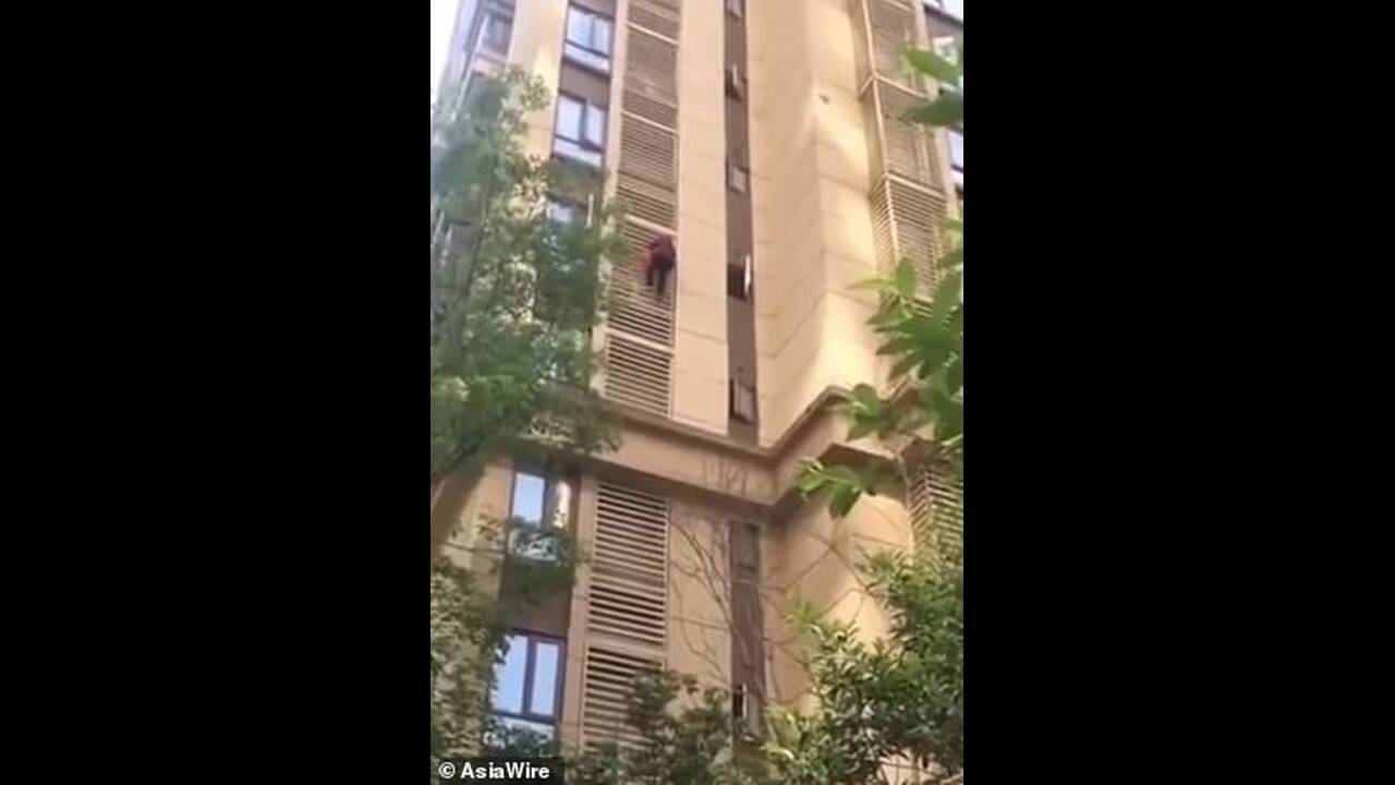 Επικό βίντεο: Γιαγιά με Αλτσχάιμερ κατέβηκε 10 ορόφους σαν Spiderman!