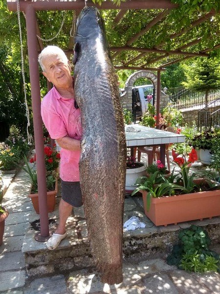 Έπιασε ψάρι 70 κιλών στη λίμνη Πλαστήρα!
