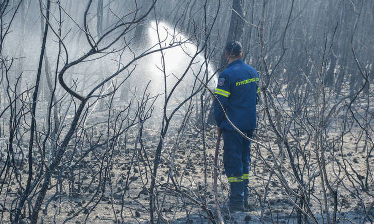 Φωτιά: Πυρκαγιά σε αγροτοδασική έκταση στην Ηλεία