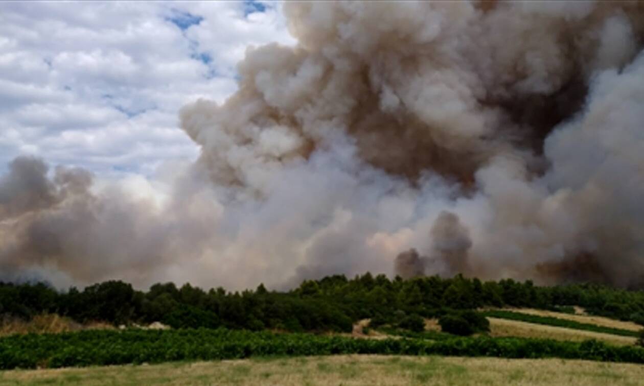 Όλες οι δυνάμεις στην Τανάγρα – Μάχη να μη φτάσουν οι φλόγες στο δάσος των Δερβενοχωρίων