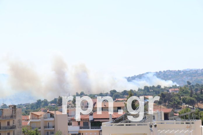 Υπό έλεγχο η πυρκαγιά στη Ραφήνα (photo)
