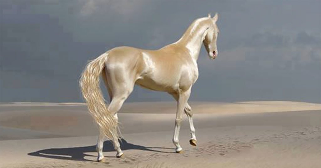 H photo της ημέρας: To ωραιότερο άλογο στον κόσμο...