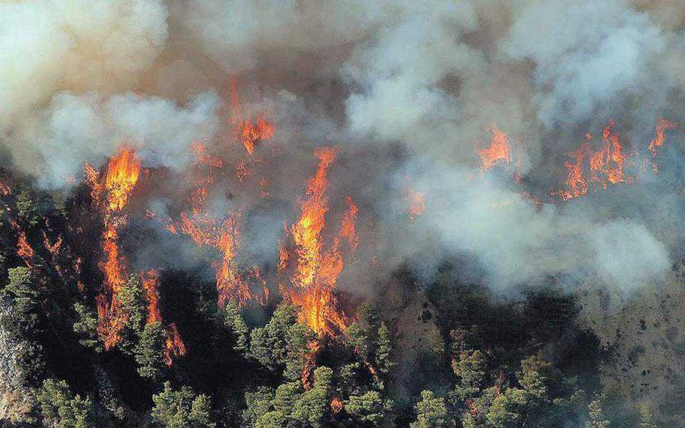 24 δασικές πυρκαγιές εκδηλώθηκαν σε ολόκληρη τη χώρα