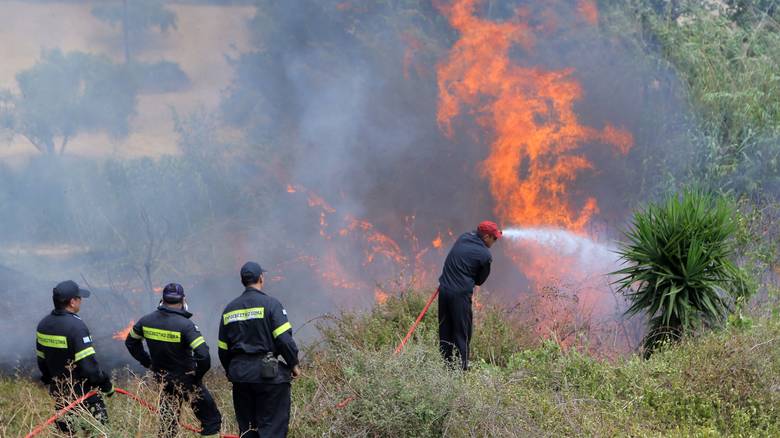 Χαλκιδική: Φωτιά έκαψε πέντε στρέμματα δάσους